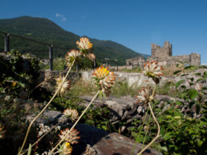 Castel Grumello Montagna in Valtellina, SO, italy