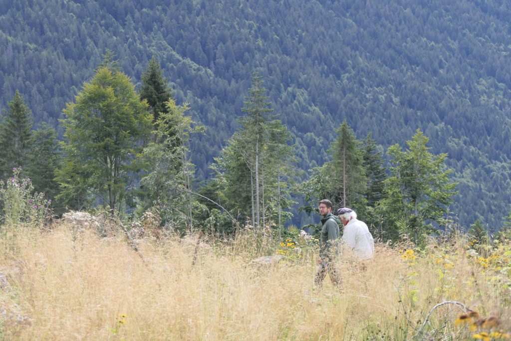 Boschi di Asiago, Patrizio e Marco Pellegrini