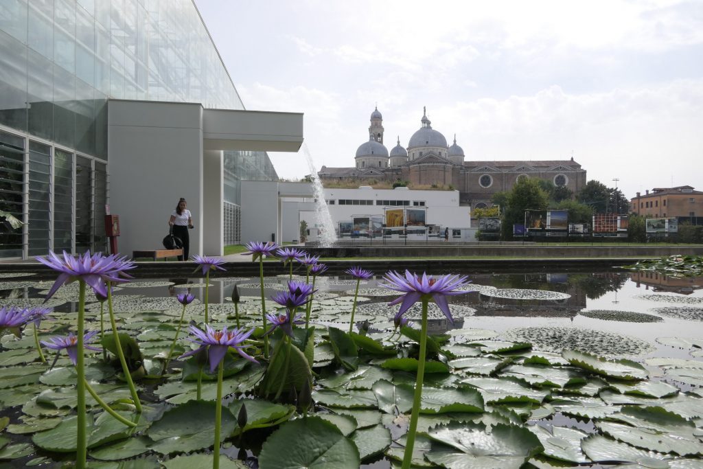 Padova, Orto Botanico