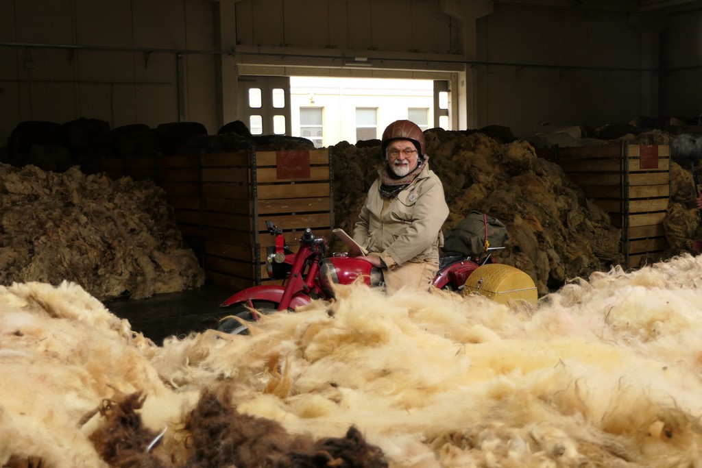 Wool Company - Patrizio Roversi