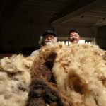 Wool Company - Patrizio Roversi e Chef Hiro