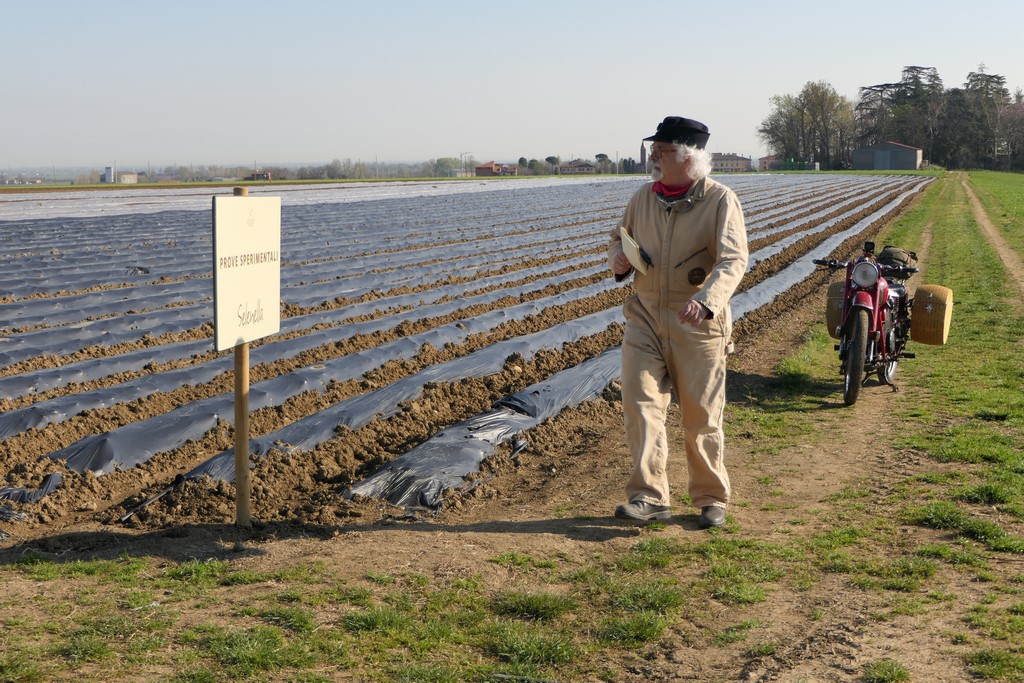 Campo Sperimentale Selenella, con Giacomo Accinelli